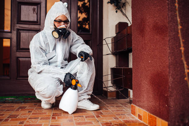Reliable Cockroach Control contractor in Seat Pleasant, MD by Nex Pest Control