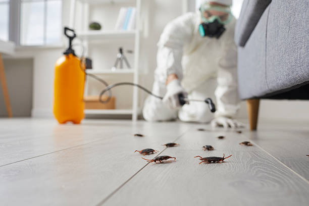 Trusted Emergency Pest Control service in Seat Pleasant, MD - Nex Pest Control