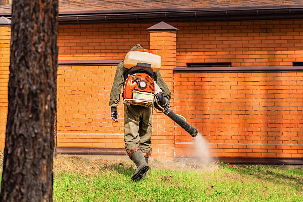 Trusted Cockroach Control service in Seat Pleasant, MD - Nex Pest Control